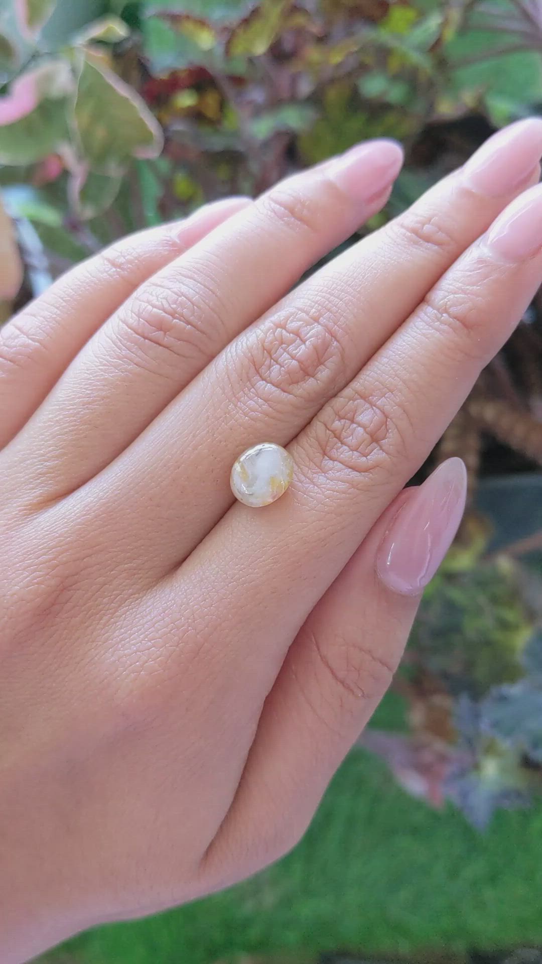 4.58 Ct. Bi Color Star Sapphire from Ceylon (Sri Lanka) Size Video