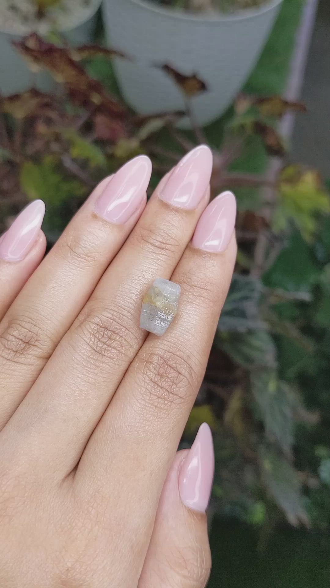 9.08 Ct. Bi Color Rough Sapphire Crystal from Ceylon (Sri Lanka) Size Video