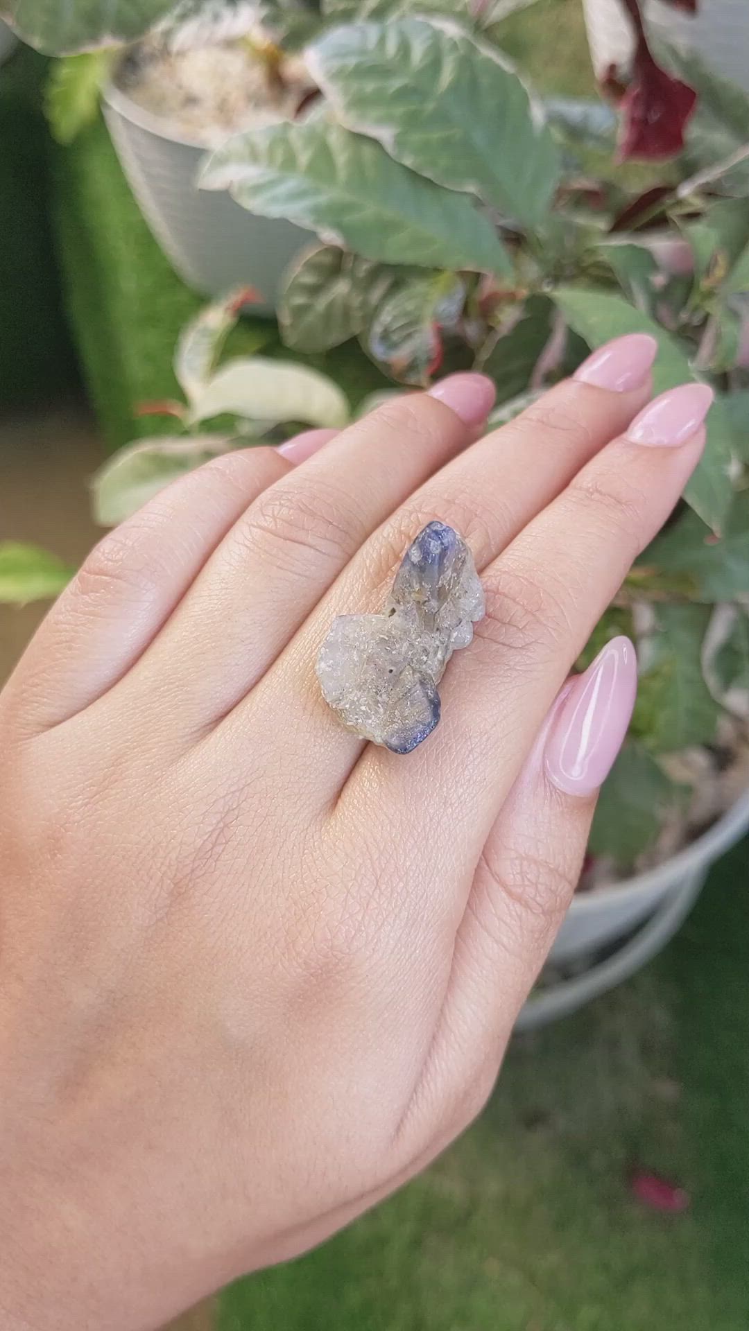 41.08 Ct. Bi Color Rough Sapphire Crystal from Ceylon (Sri Lanka) Size Video