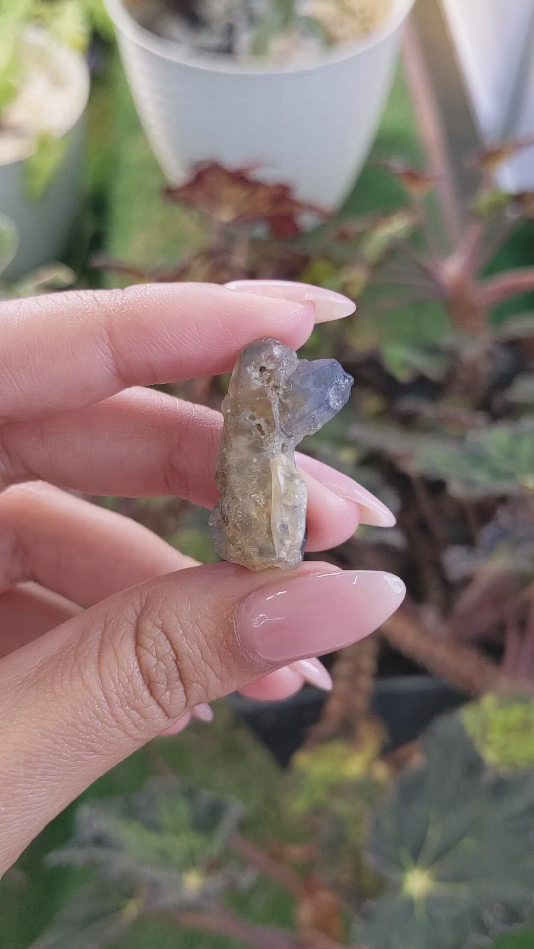 41.08 Ct. Bi Color Rough Sapphire Crystal from Ceylon (Sri Lanka) Size Video