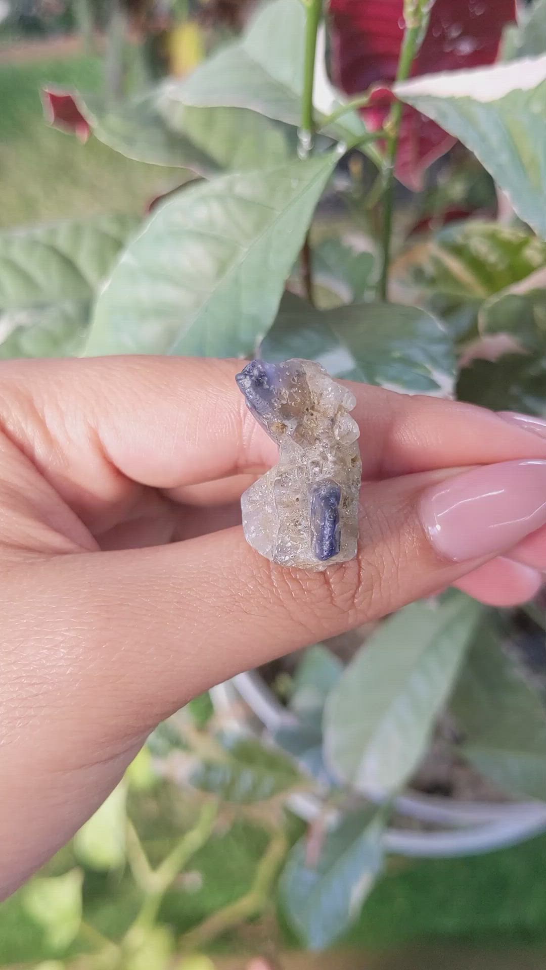 41.08 Ct. Bi Color Rough Sapphire Crystal from Ceylon (Sri Lanka) Size Video