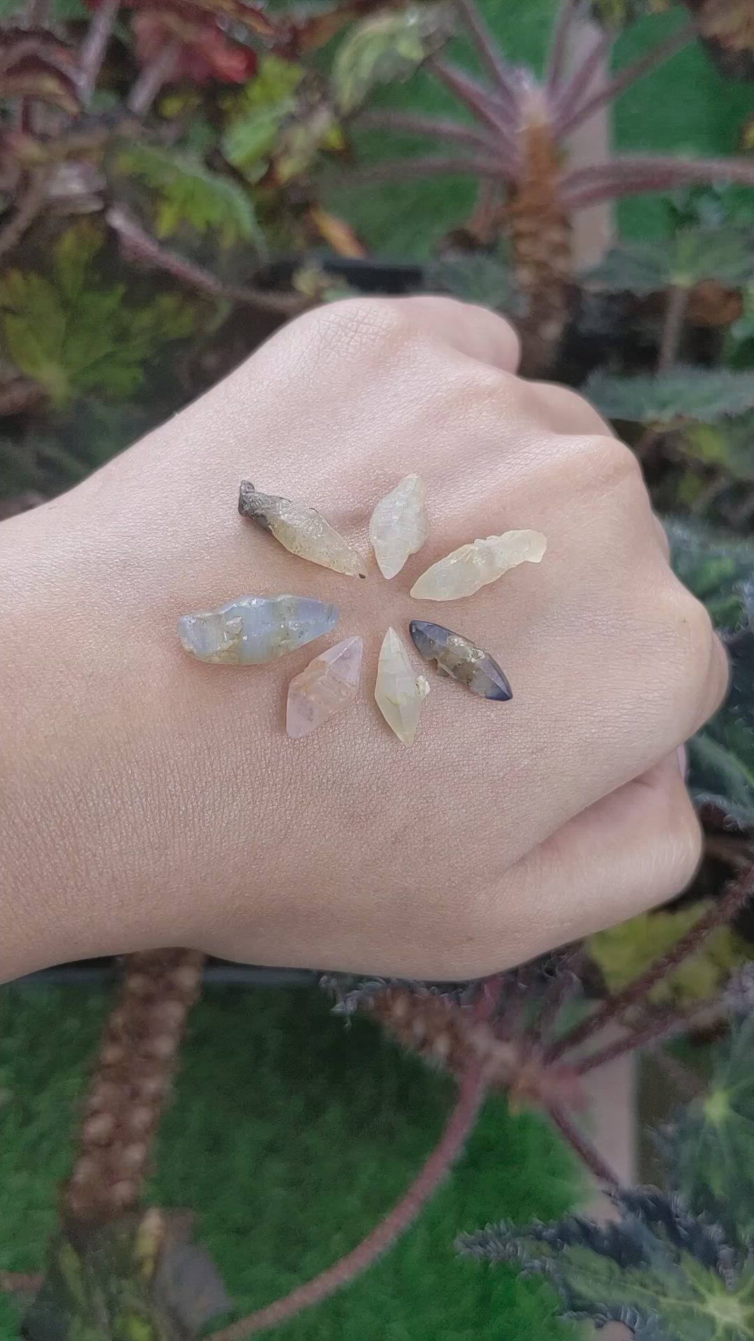 29.90 Ct. Multi Color Rough Sapphire Crystal from Ceylon (Sri Lanka) Size Video