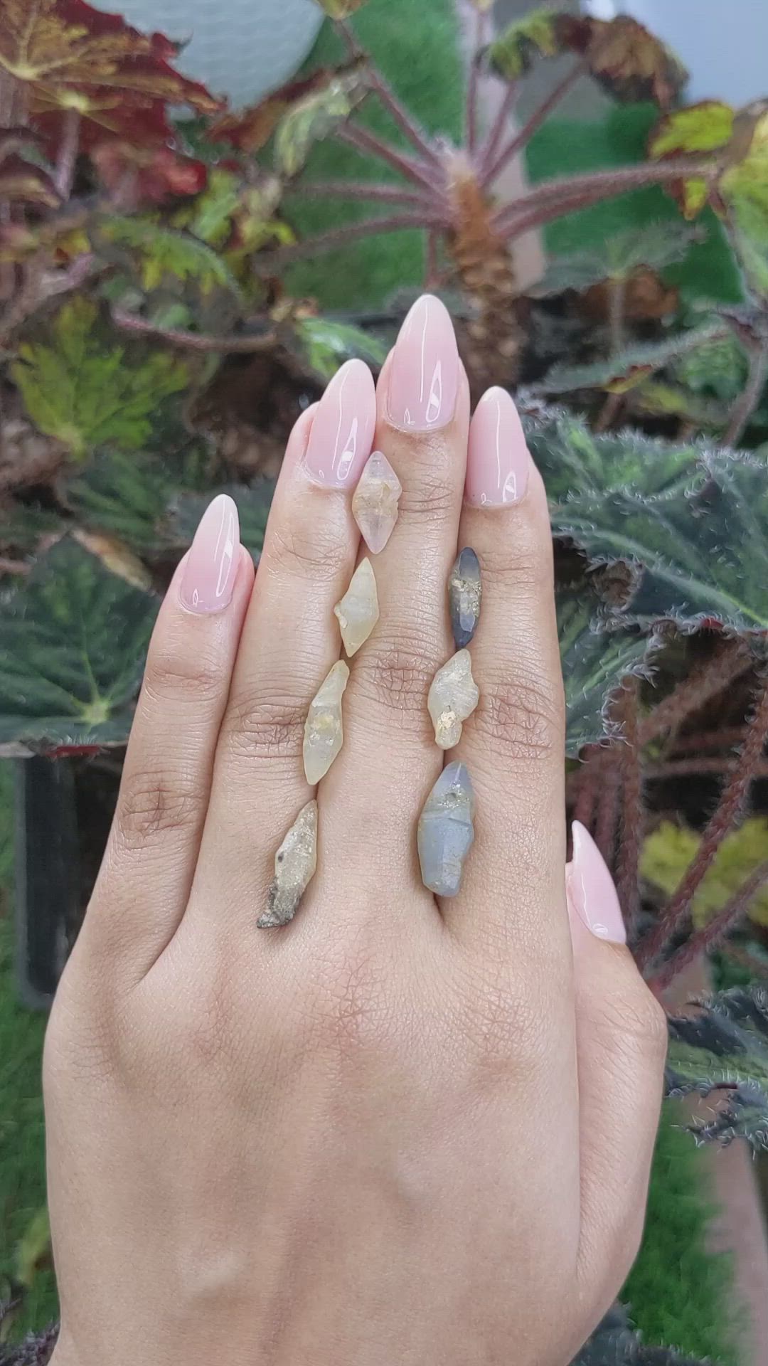 29.90 Ct. Multi Color Rough Sapphire Crystal from Ceylon (Sri Lanka) Size Video