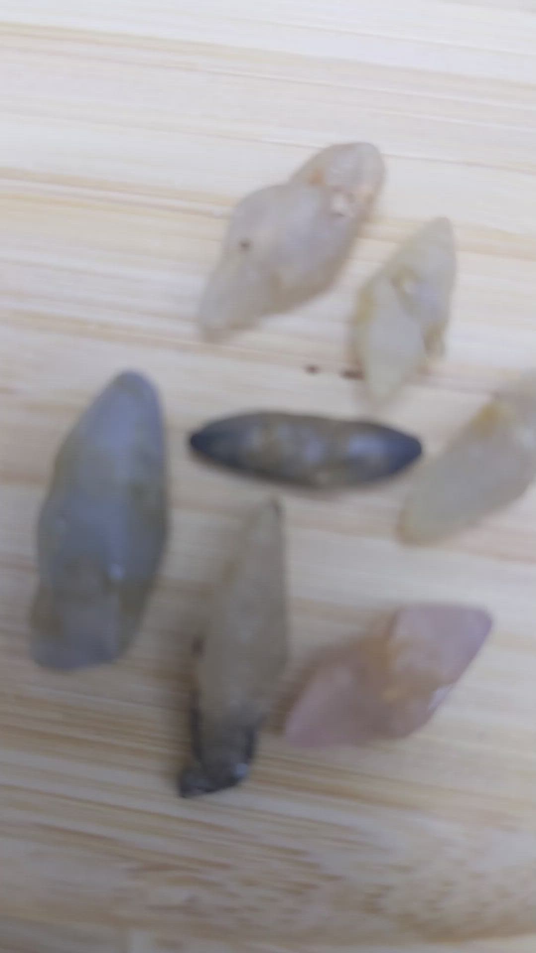 29.90 Ct. Multi Color Rough Sapphire Crystal from Ceylon (Sri Lanka) Size Video