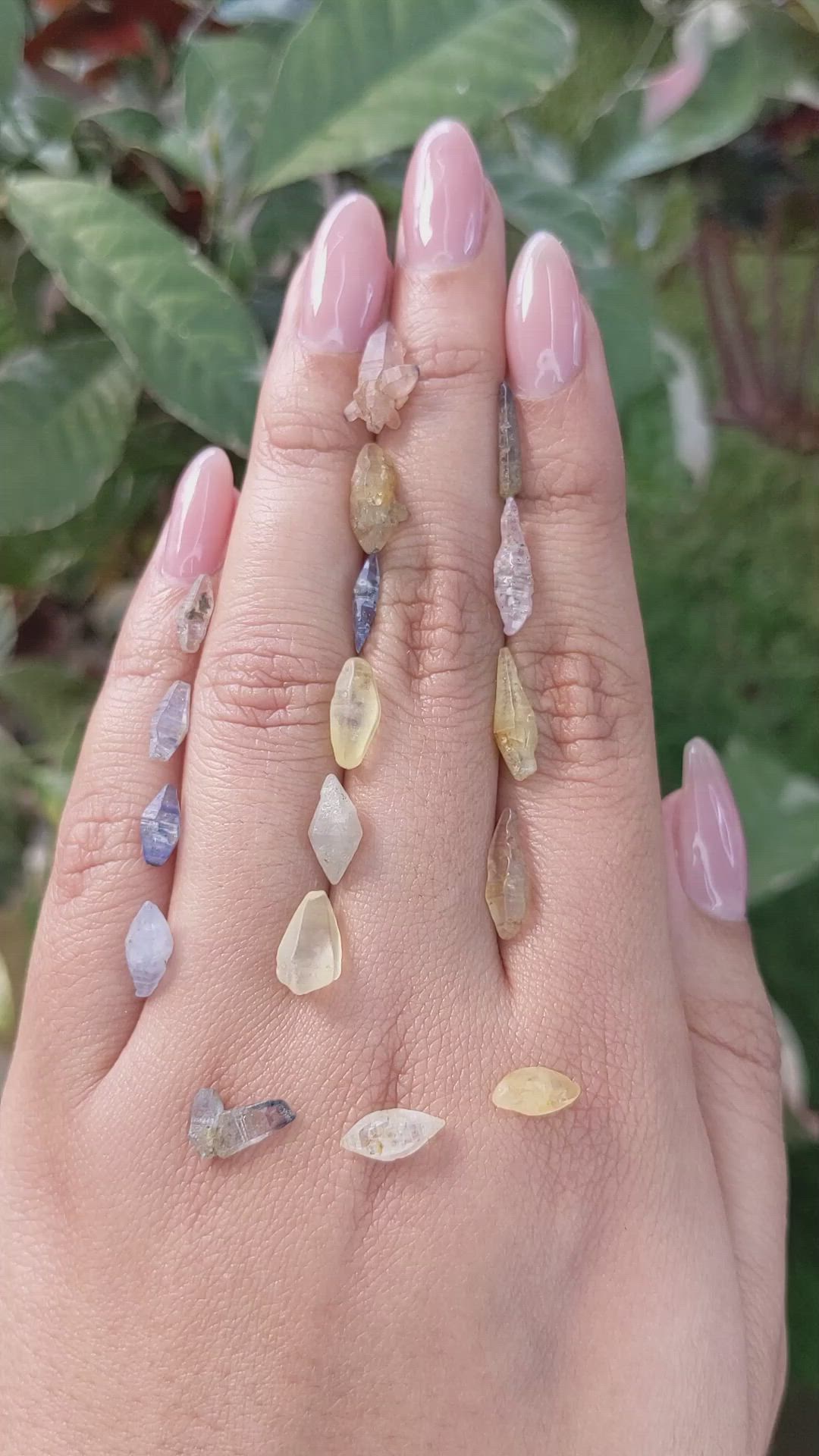 26.03 Ct. Multi Color Rough Sapphire Crystal from Ceylon (Sri Lanka) Size Video