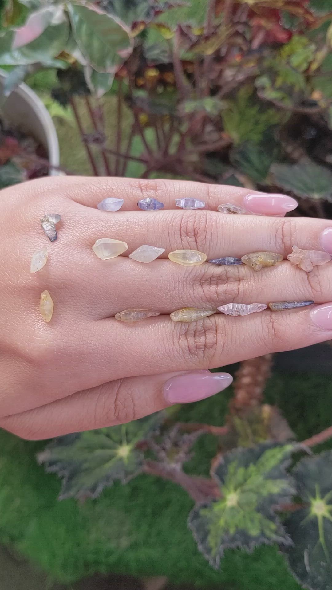 26.03 Ct. Multi Color Rough Sapphire Crystal from Ceylon (Sri Lanka) Size Video