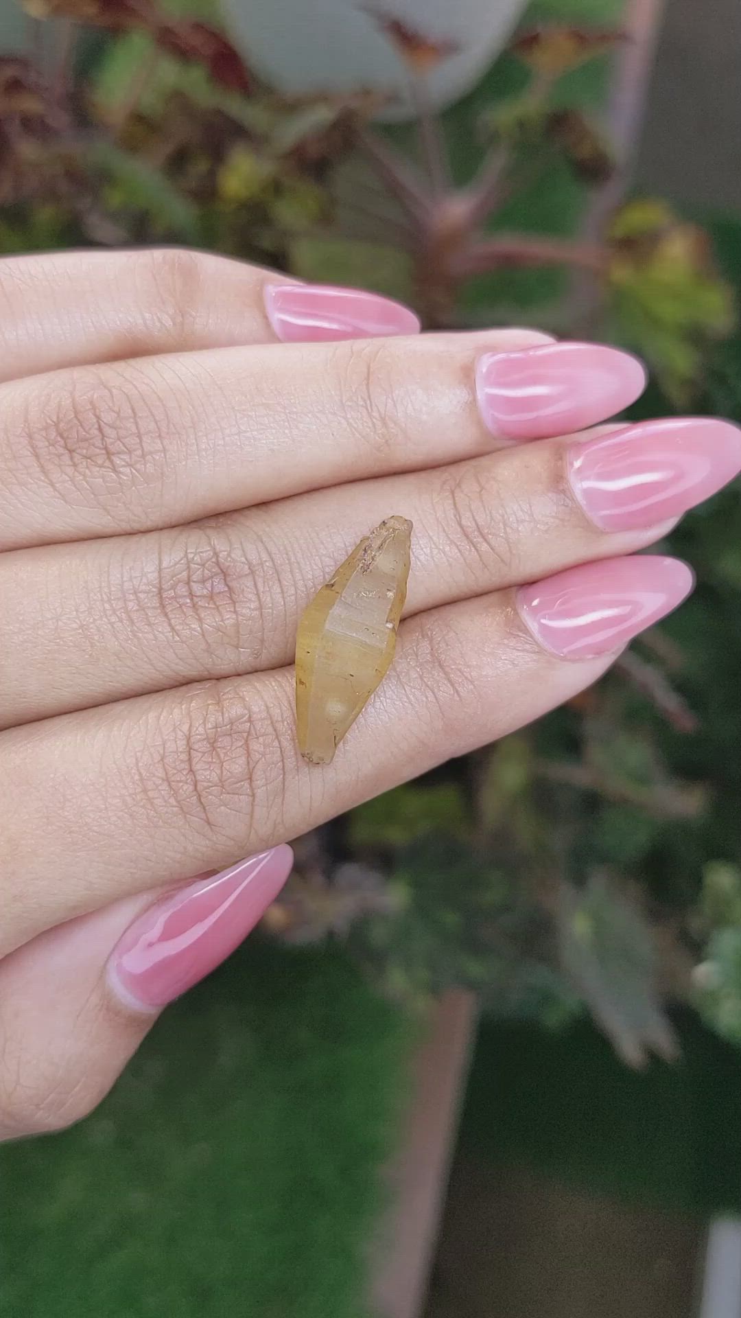 10.82 Ct. Yellowish Brown Rough Sapphire Crystal from Ceylon (Sri Lanka) Size Video