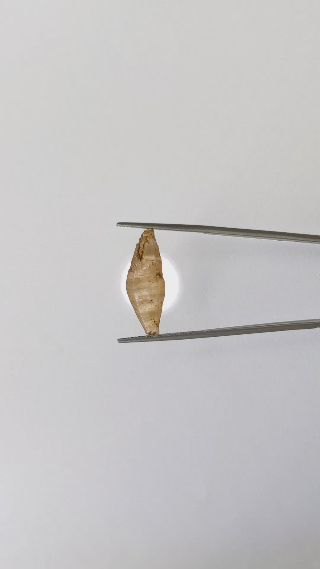 10.82 Ct. Yellowish Brown Rough Sapphire Crystal from Ceylon (Sri Lanka) Size Video