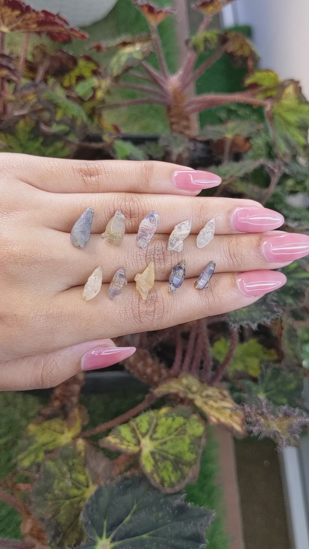 27.40 Ct. Multi Color Rough Sapphire from Ceylon (Sri Lanka) Size Video