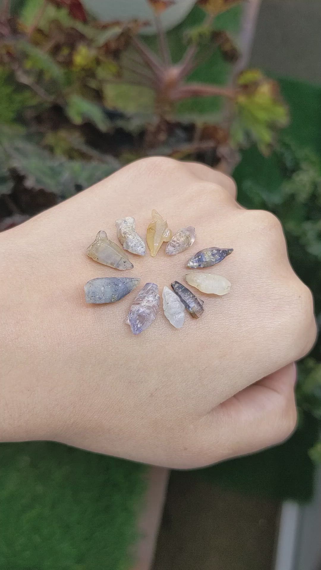 27.40 Ct. Multi Color Rough Sapphire from Ceylon (Sri Lanka) Size Video