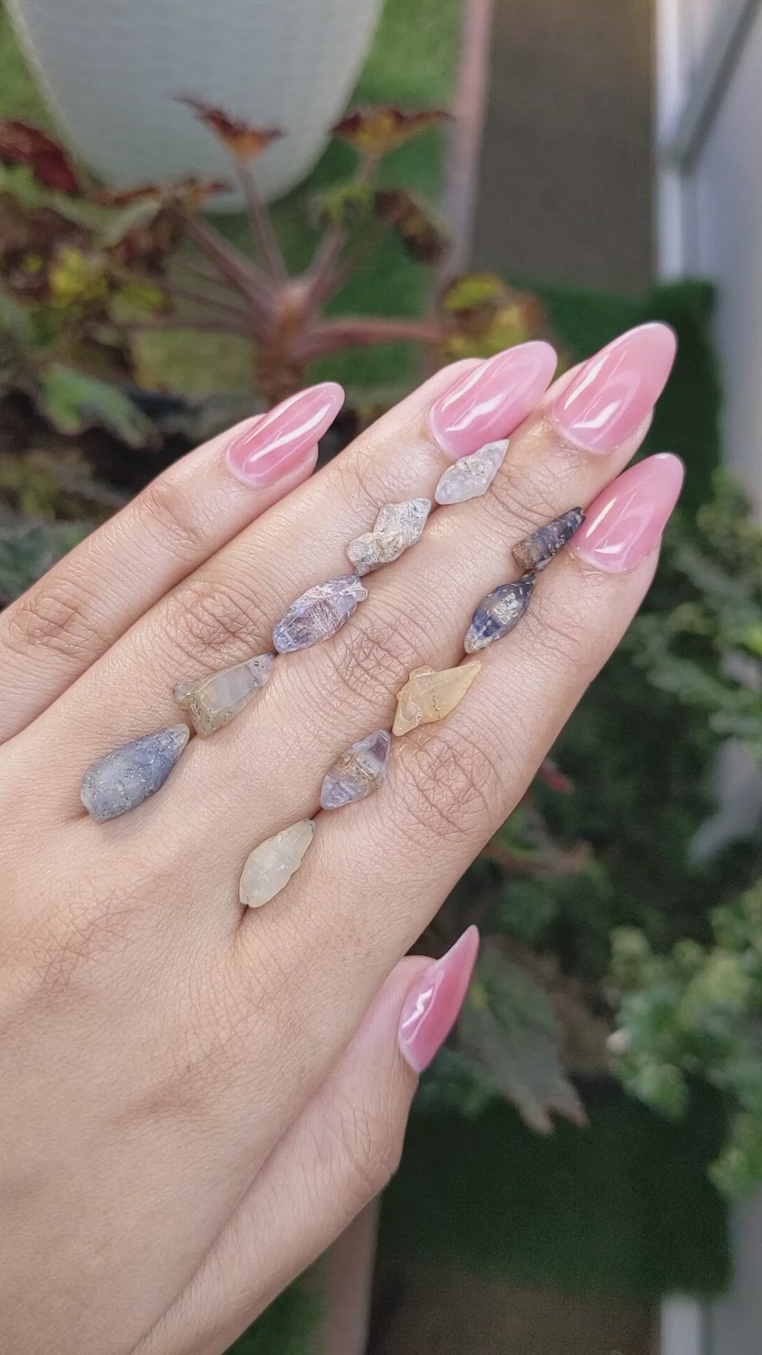 27.40 Ct. Multi Color Rough Sapphire from Ceylon (Sri Lanka) Size Video