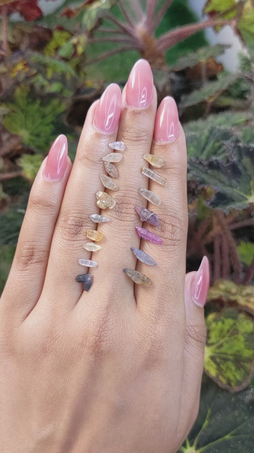 13.56 Ct. Multi Color Sapphire Crystal from Ceylon (Sri Lanka) Size Video