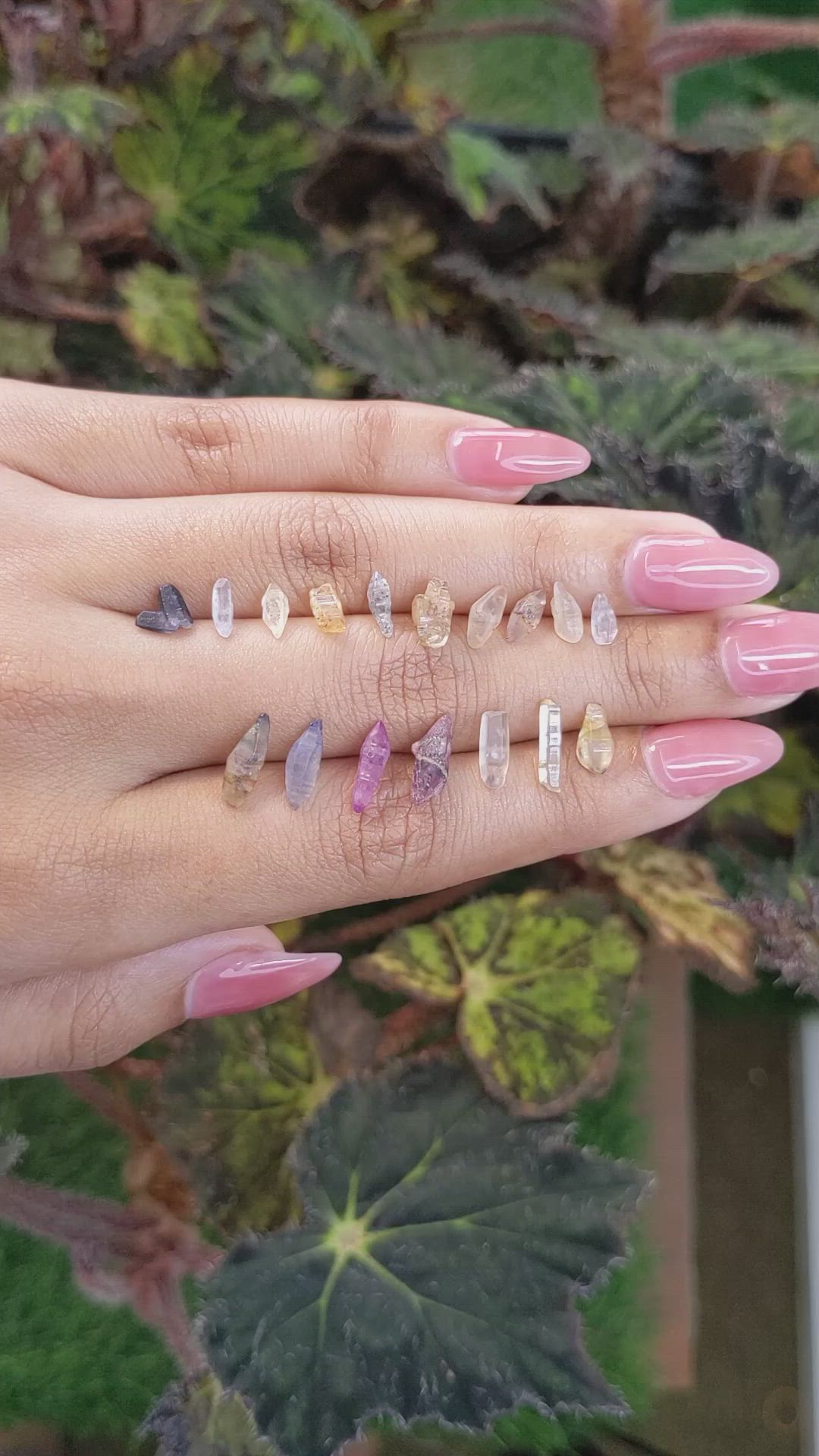 13.56 Ct. Multi Color Sapphire Crystal from Ceylon (Sri Lanka) Size Video