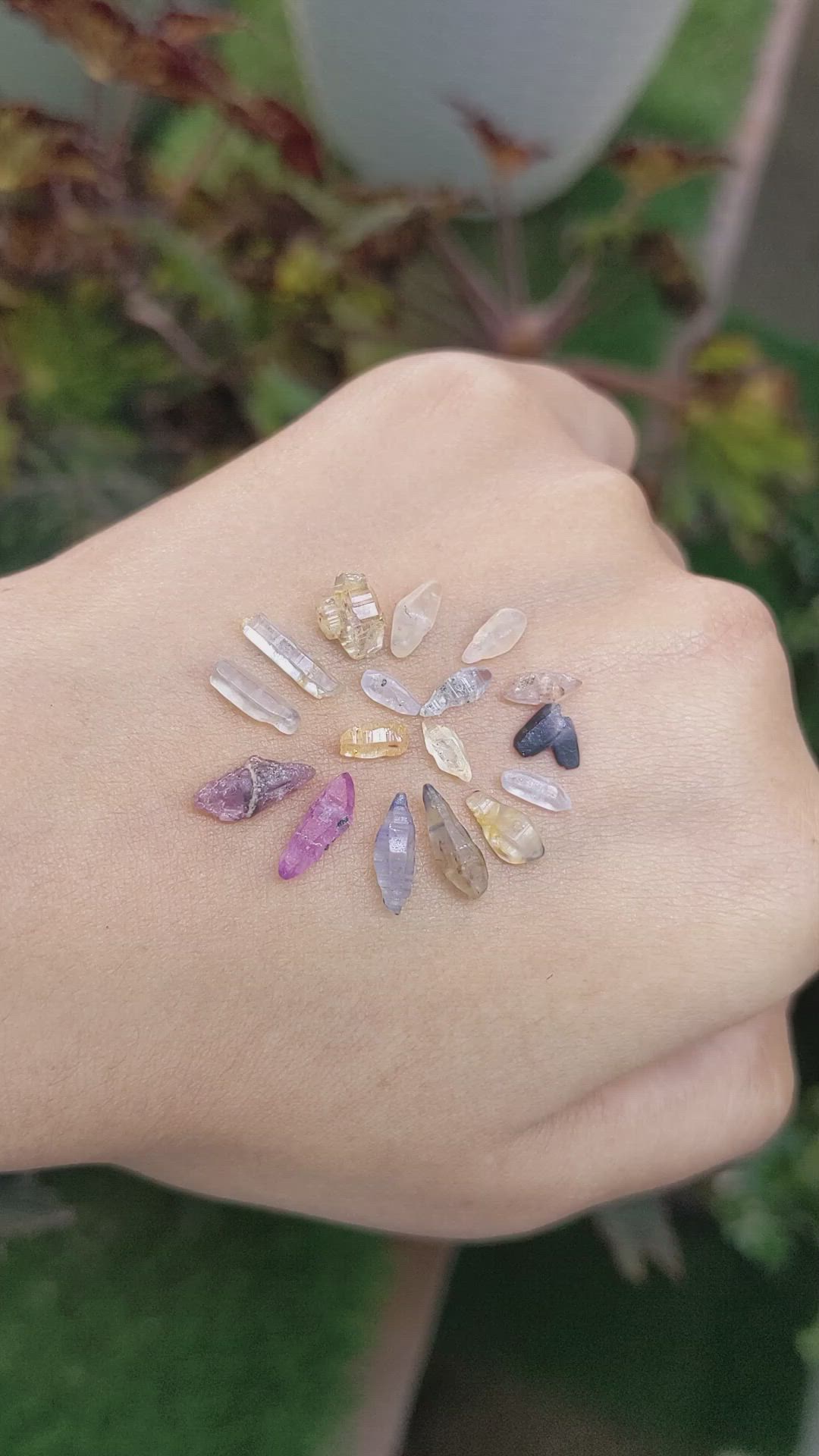 13.56 Ct. Multi Color Sapphire Crystal from Ceylon (Sri Lanka) Size Video