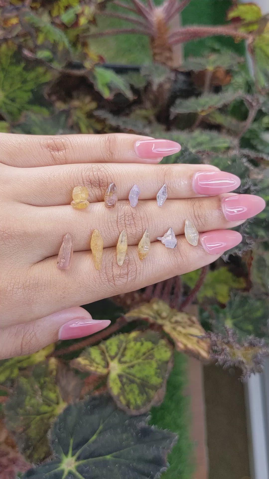 16.35 Ct. Multi Color Sapphire Crystal from Ceylon (Sri Lanka) Size Video