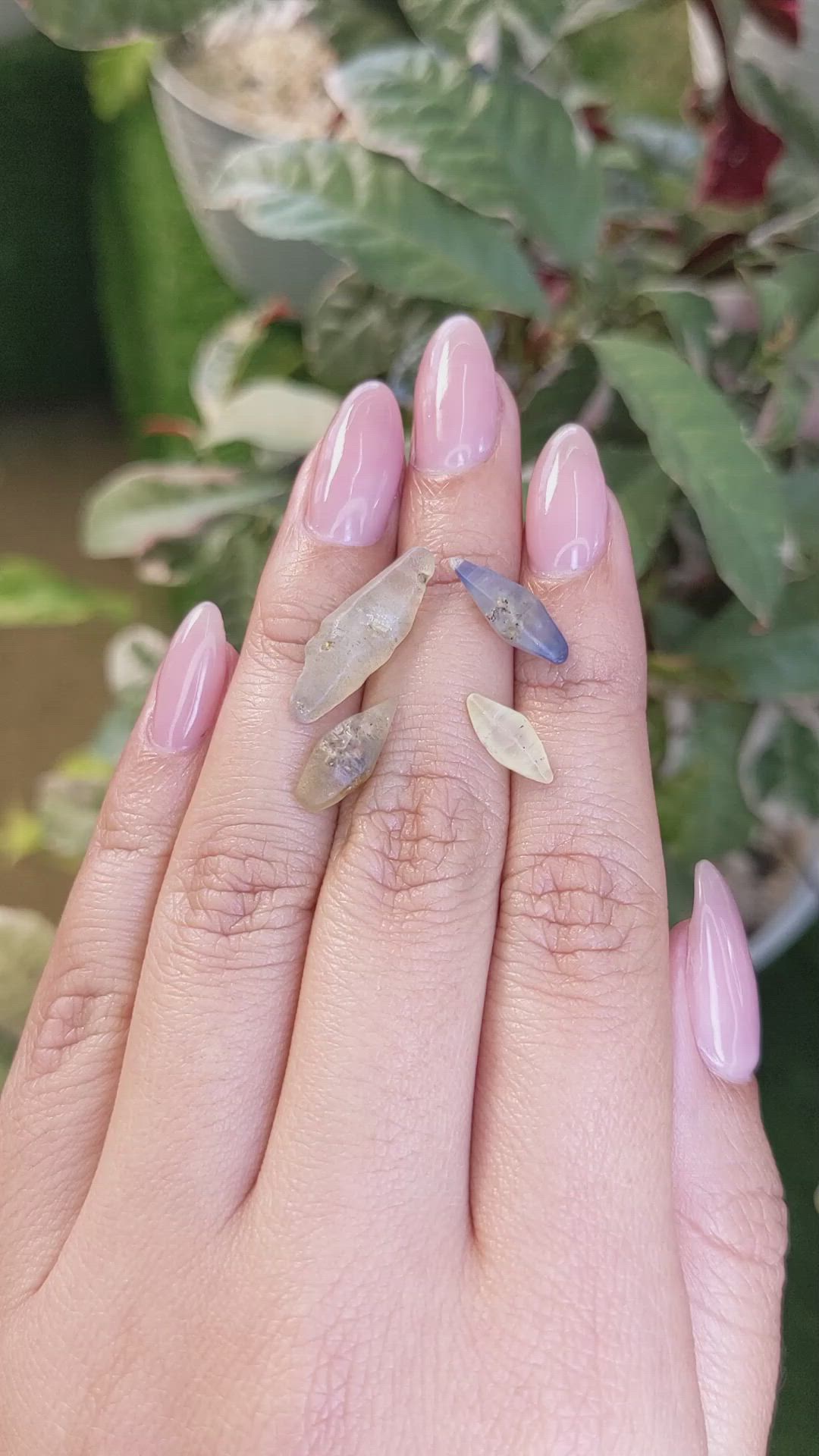 16.09 Ct. Multi Color Sapphire Crystal from Ceylon (Sri Lanka) Size Video