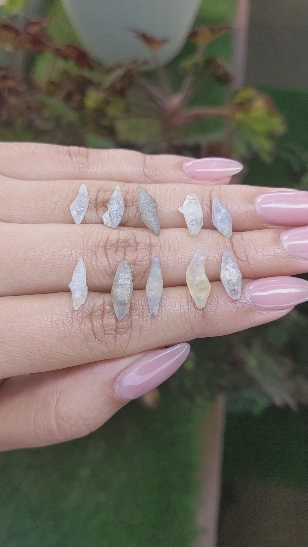 17.92 Ct. Multi Color Rough Sapphire from Ceylon (Sri Lanka) Size Video