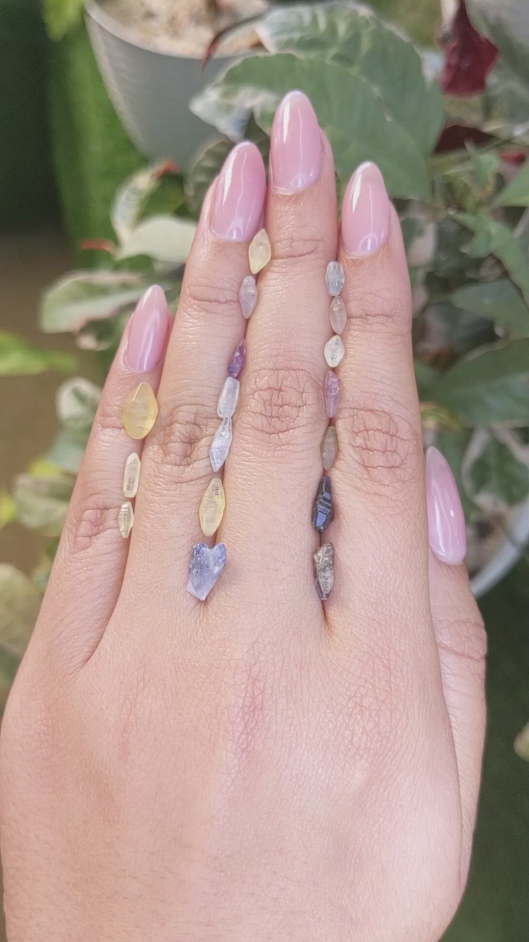 14.08 Ct. Multi Color Rough Sapphire from Ceylon (Sri Lanka) Size Video