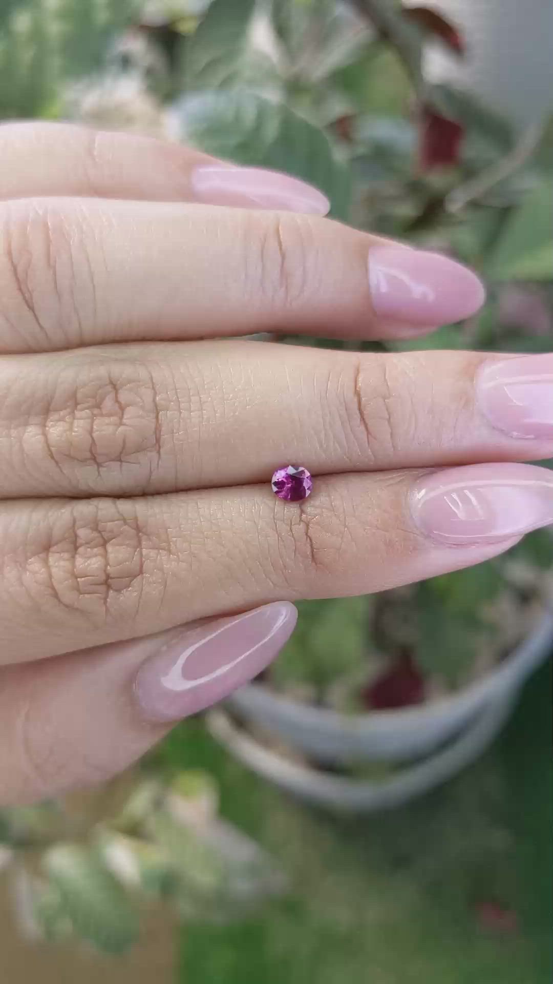 0.33 Ct. Reddish Pink Sapphire from Ceylon (Sri Lanka) Size Video