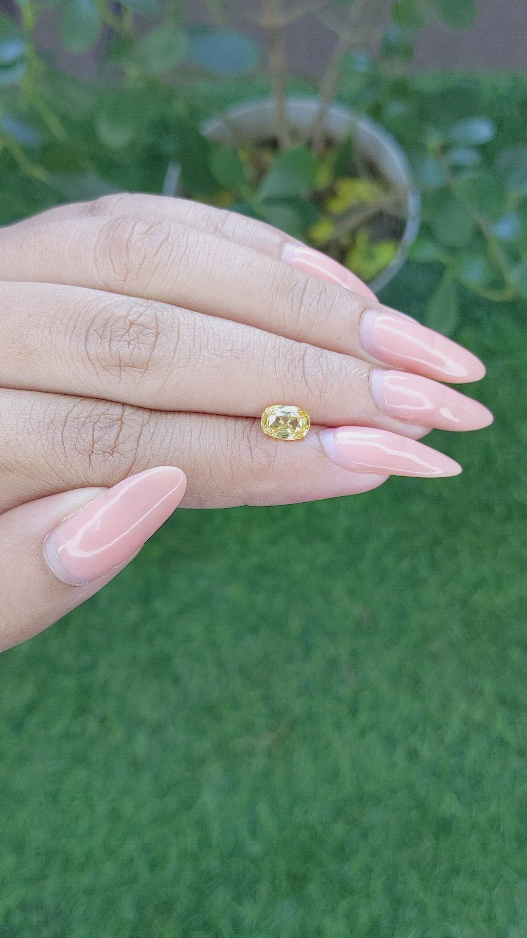 1.41 Ct. Yellow Sapphire from Ceylon (Sri Lanka) Size Video