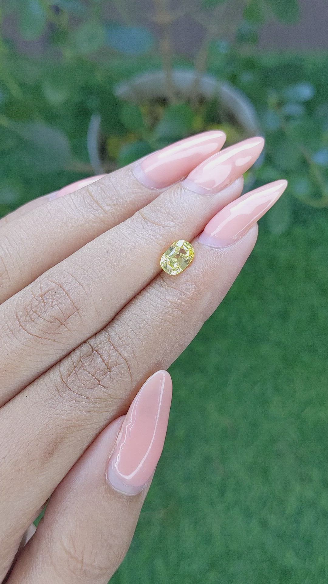 1.41 Ct. Yellow Sapphire from Ceylon (Sri Lanka) Size Video