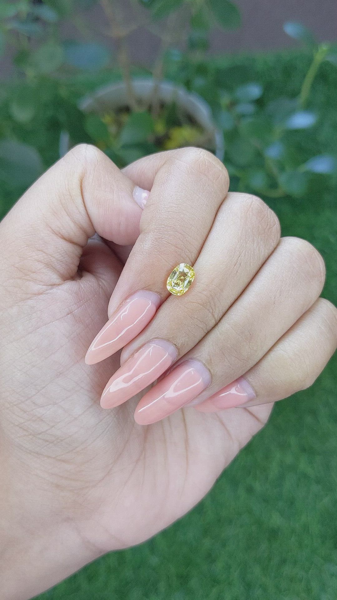 1.41 Ct. Yellow Sapphire from Ceylon (Sri Lanka) Size Video