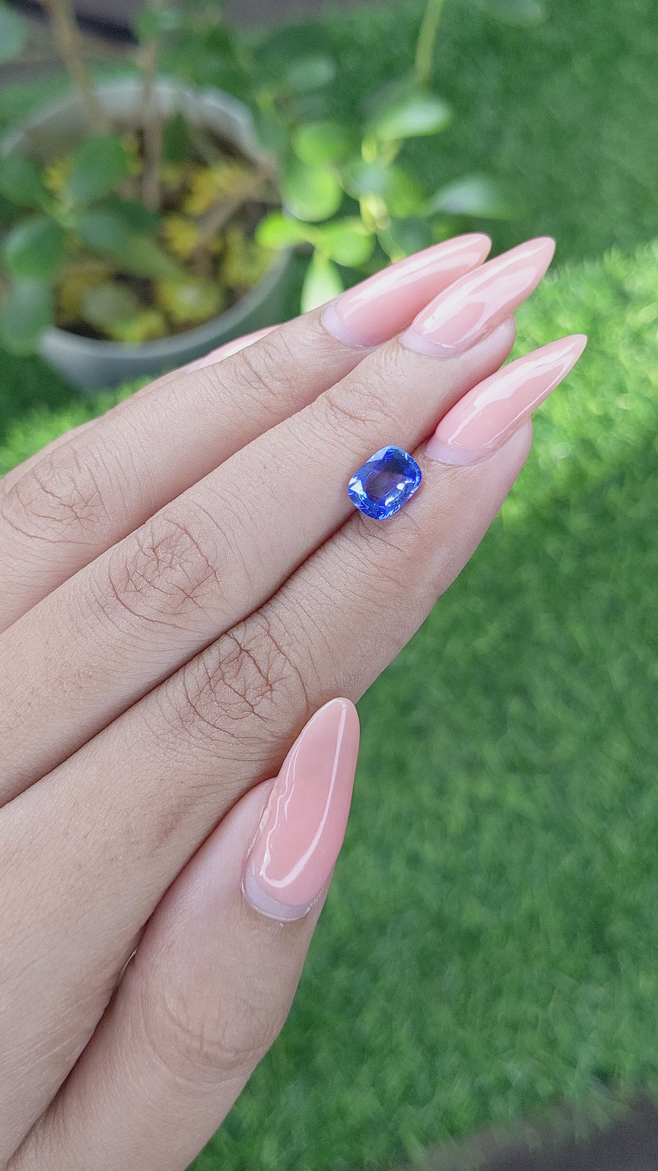 1.59 Ct. Blue Sapphire from Ceylon (Sri Lanka) Size Video