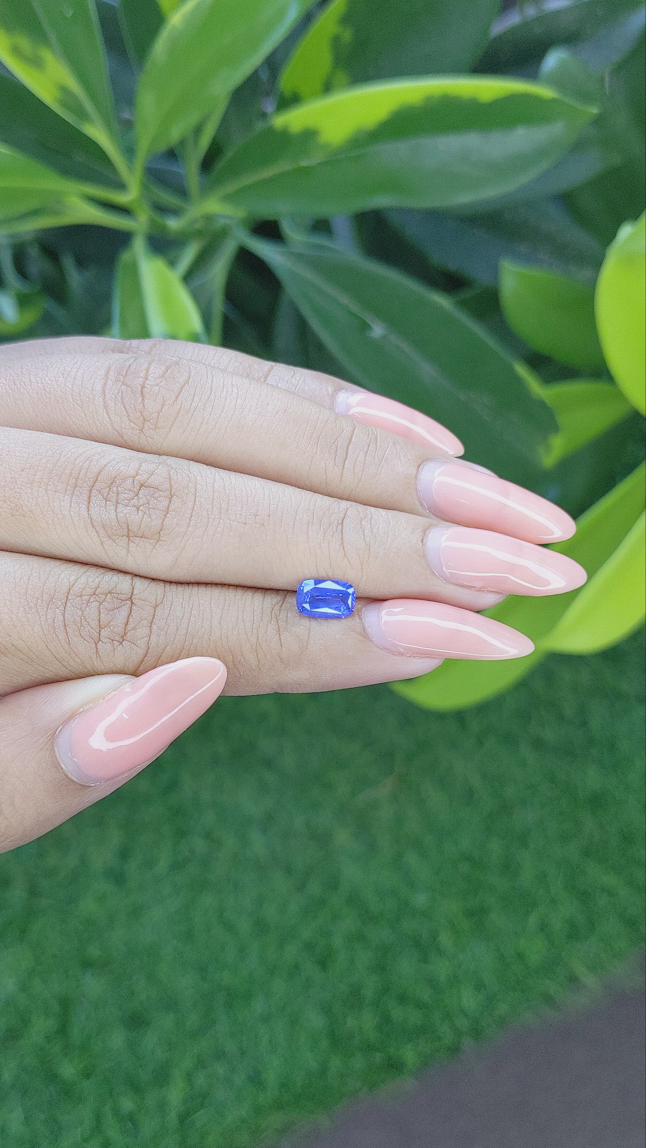 1.12 Ct. Blue Sapphire from Ceylon (Sri Lanka) Size Video