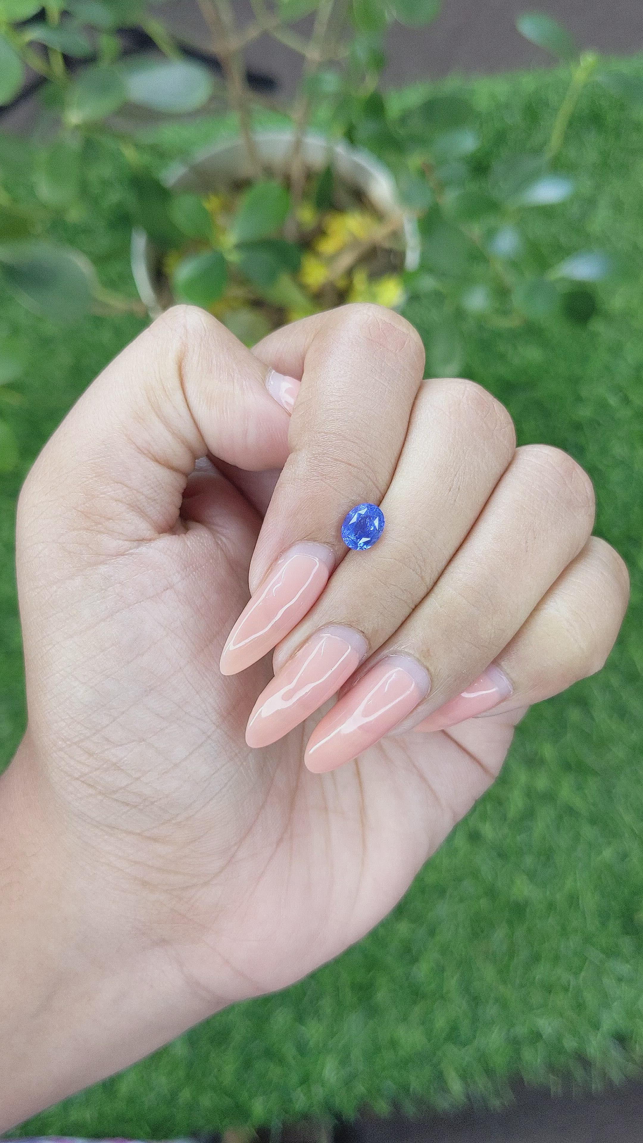 1.05 Ct. Blue Sapphire from Ceylon (Sri Lanka) Size Video