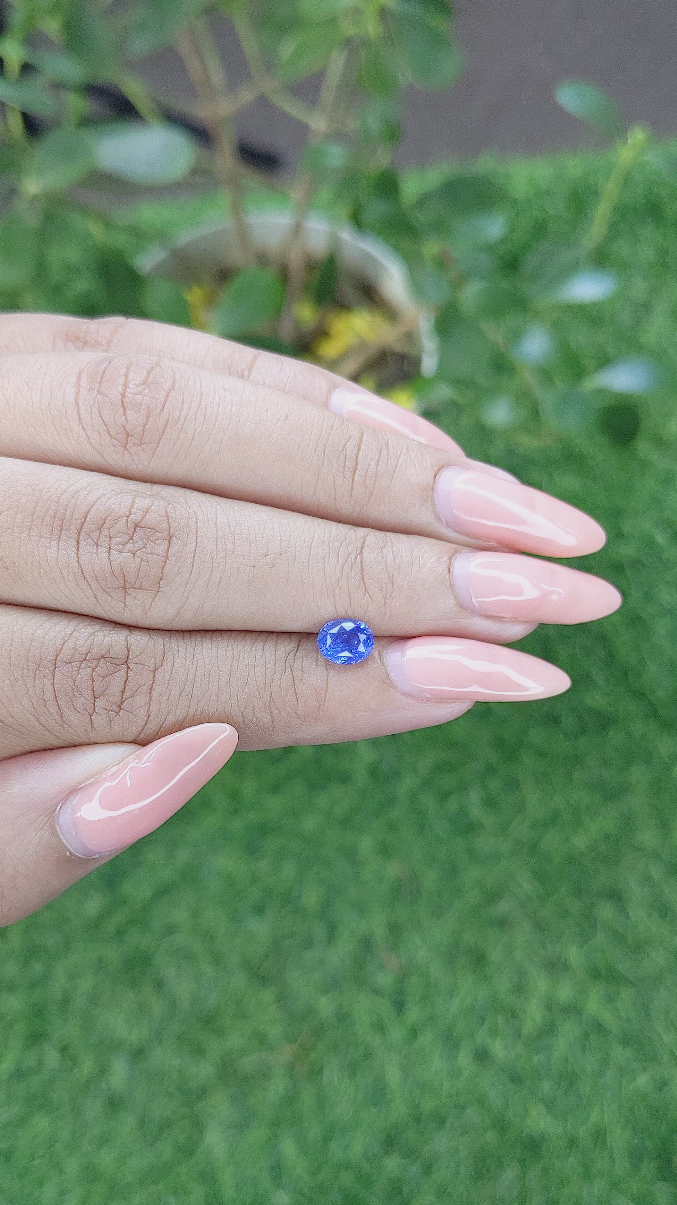 1.05 Ct. Blue Sapphire from Ceylon (Sri Lanka) Size Video