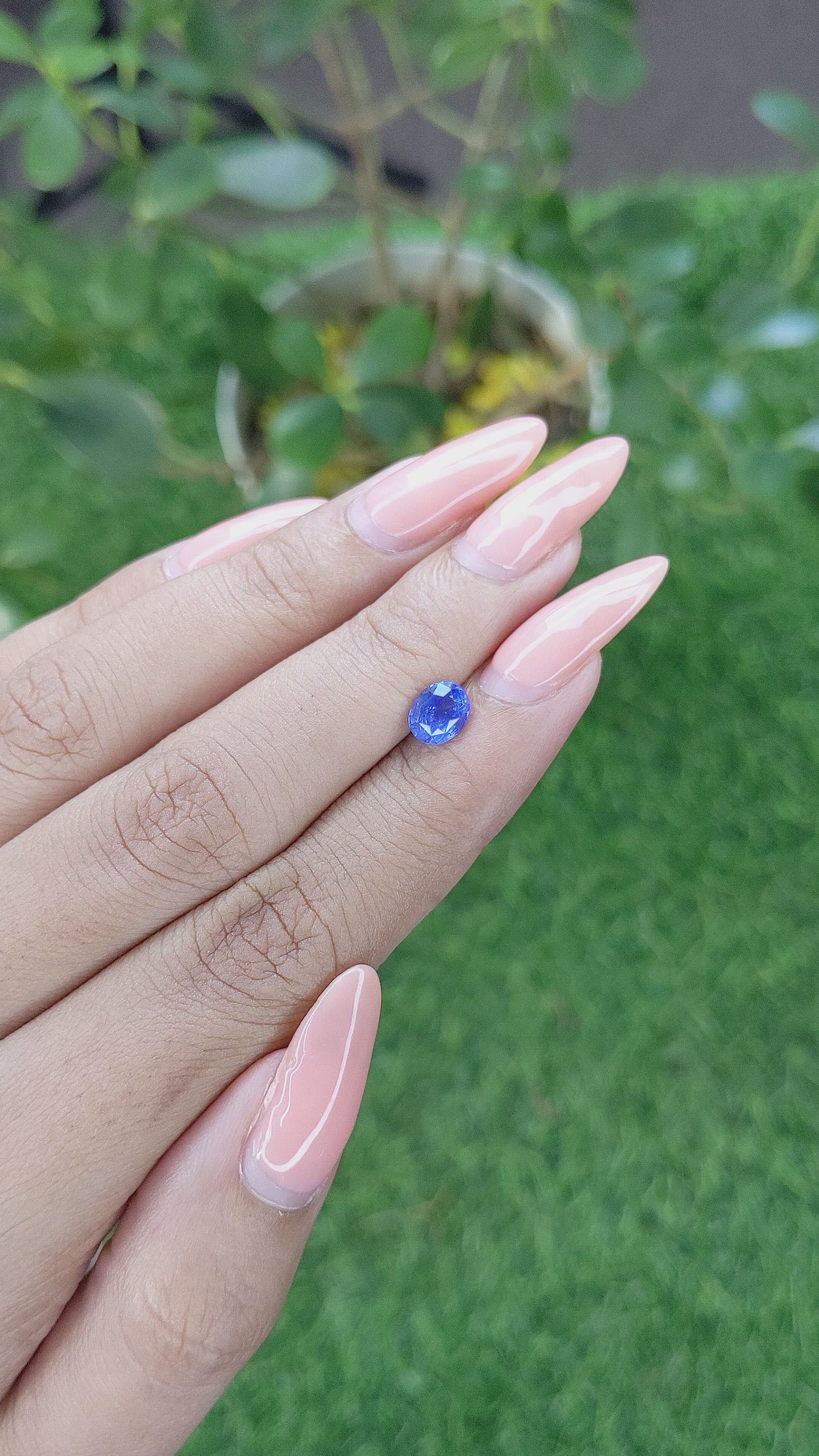 1.05 Ct. Blue Sapphire from Ceylon (Sri Lanka) Size Video