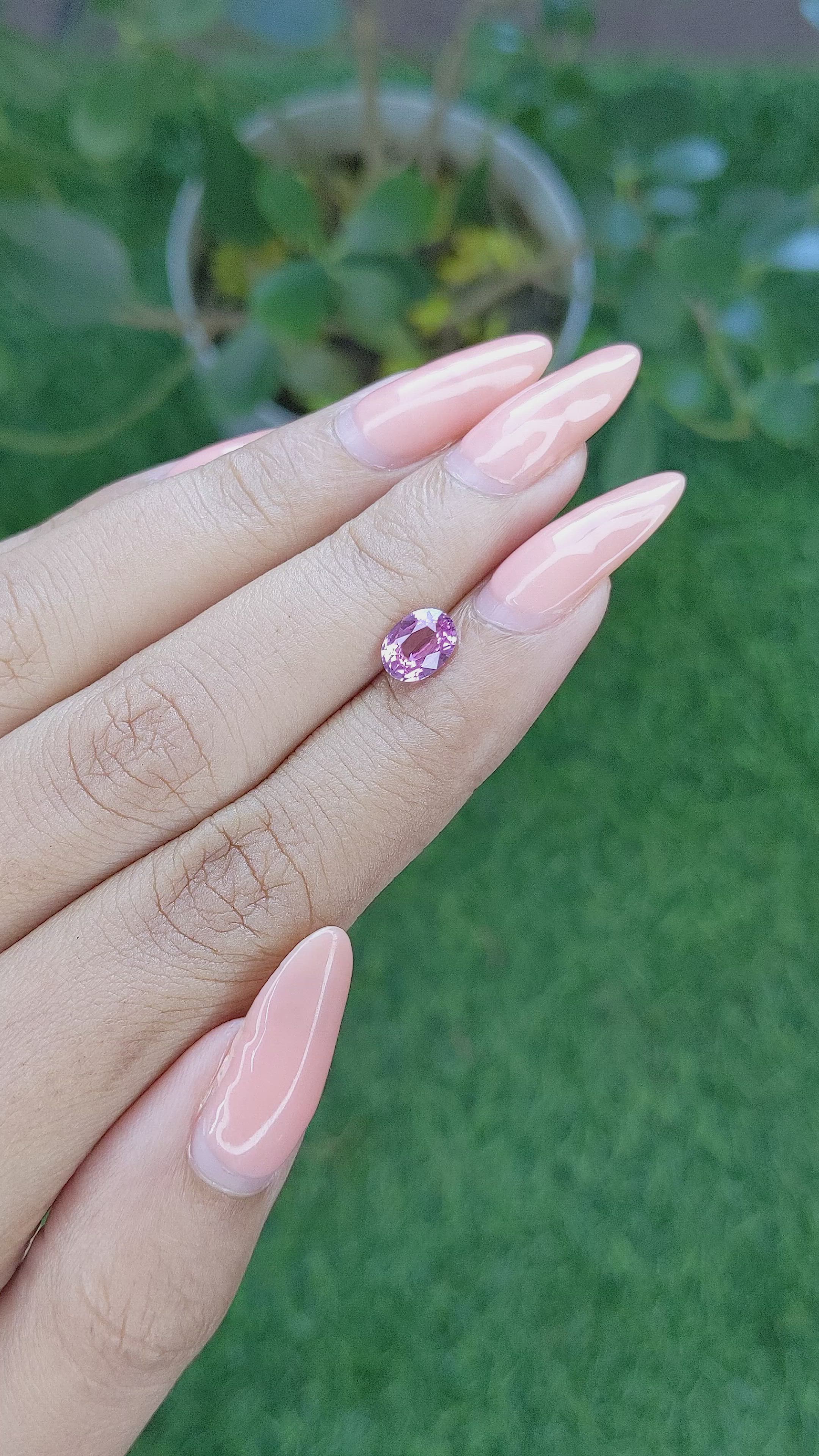 1.15 Ct. Pink Sapphire from Ceylon (Sri Lanka) Size Video