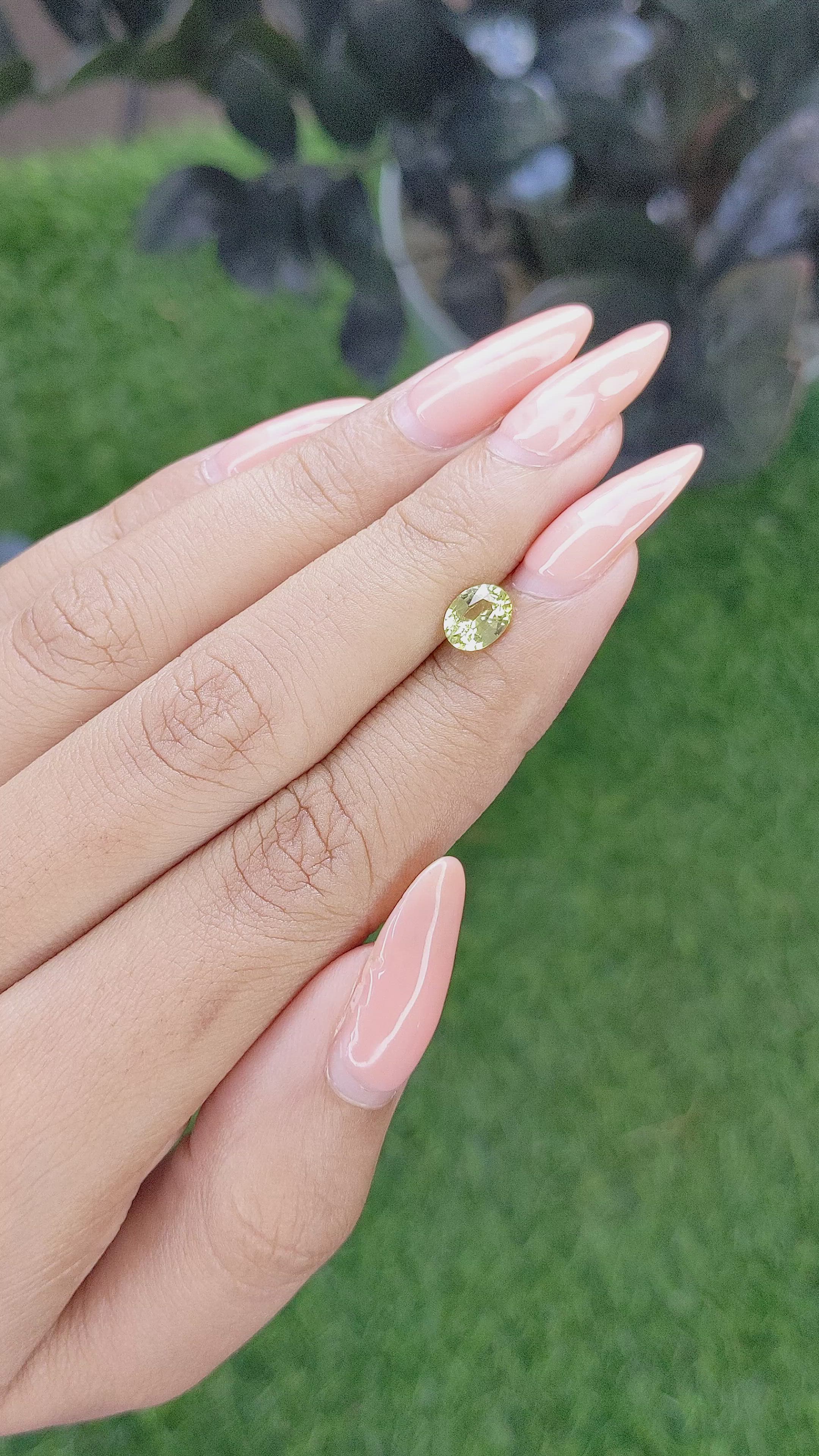 1.01 Ct. Yellowish Green Sapphire from Ceylon (Sri Lanka) Size Video