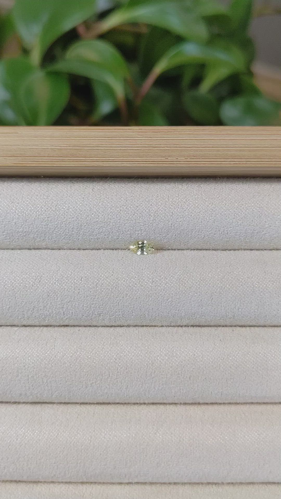 0.24 Ct. Yellow Sapphire from Montana Size Video