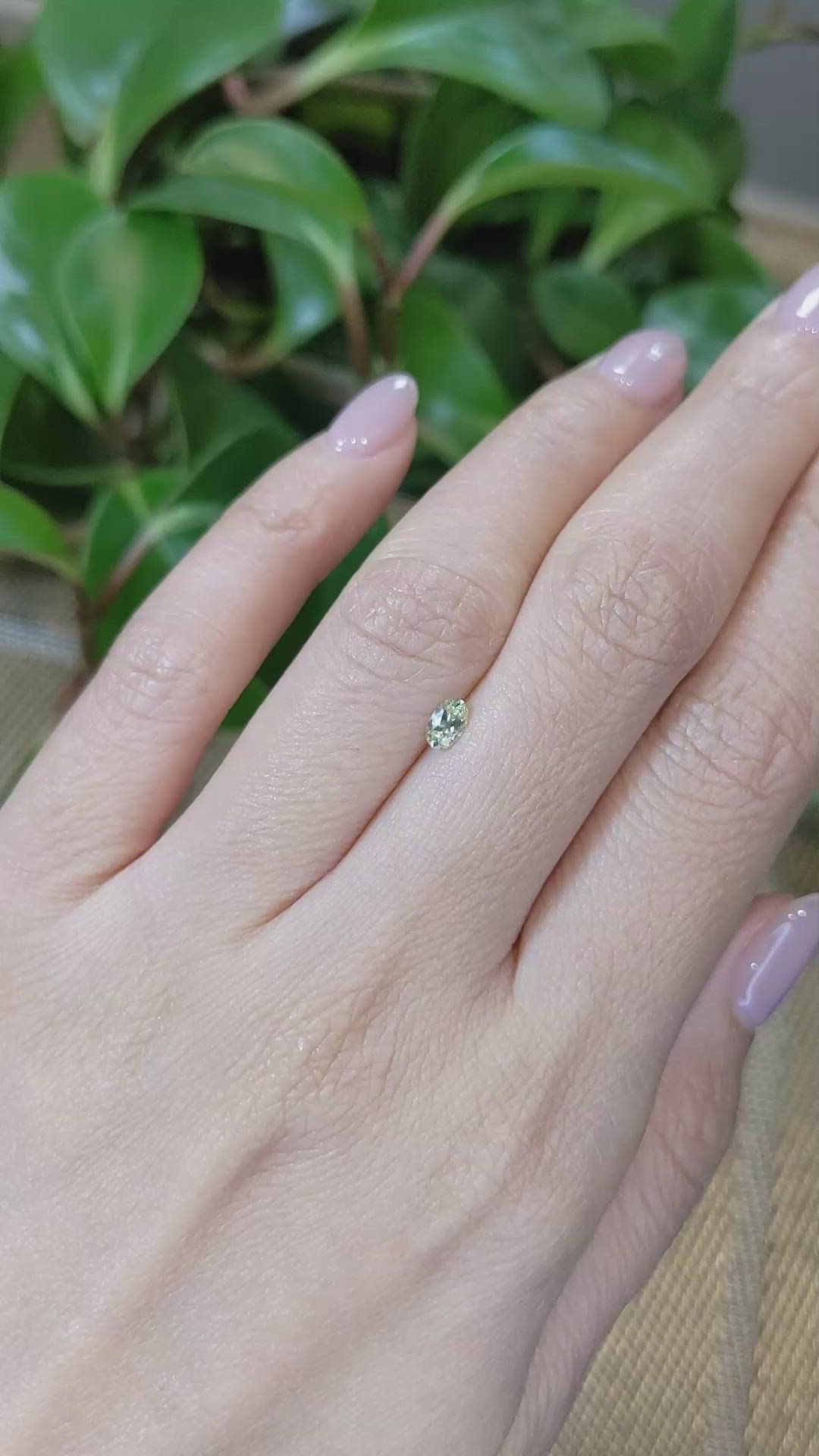 0.27 Ct. Greenish Yellow Sapphire from Montana Size Video