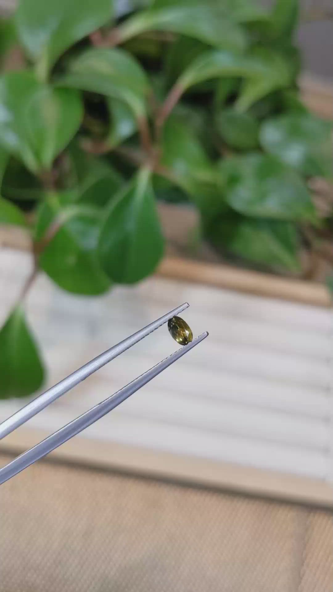 0.28 Ct. Greenish Yellow Sapphire from Montana Size Video