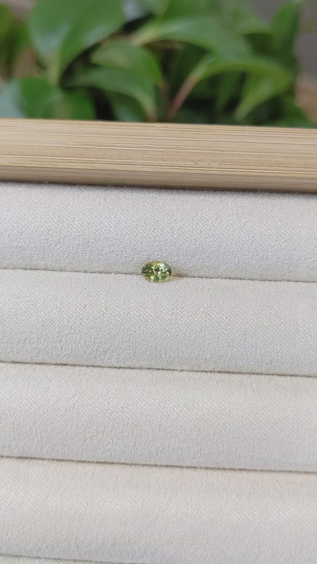 0.34 Ct. Greenish Yellow Sapphire from Montana Size Video