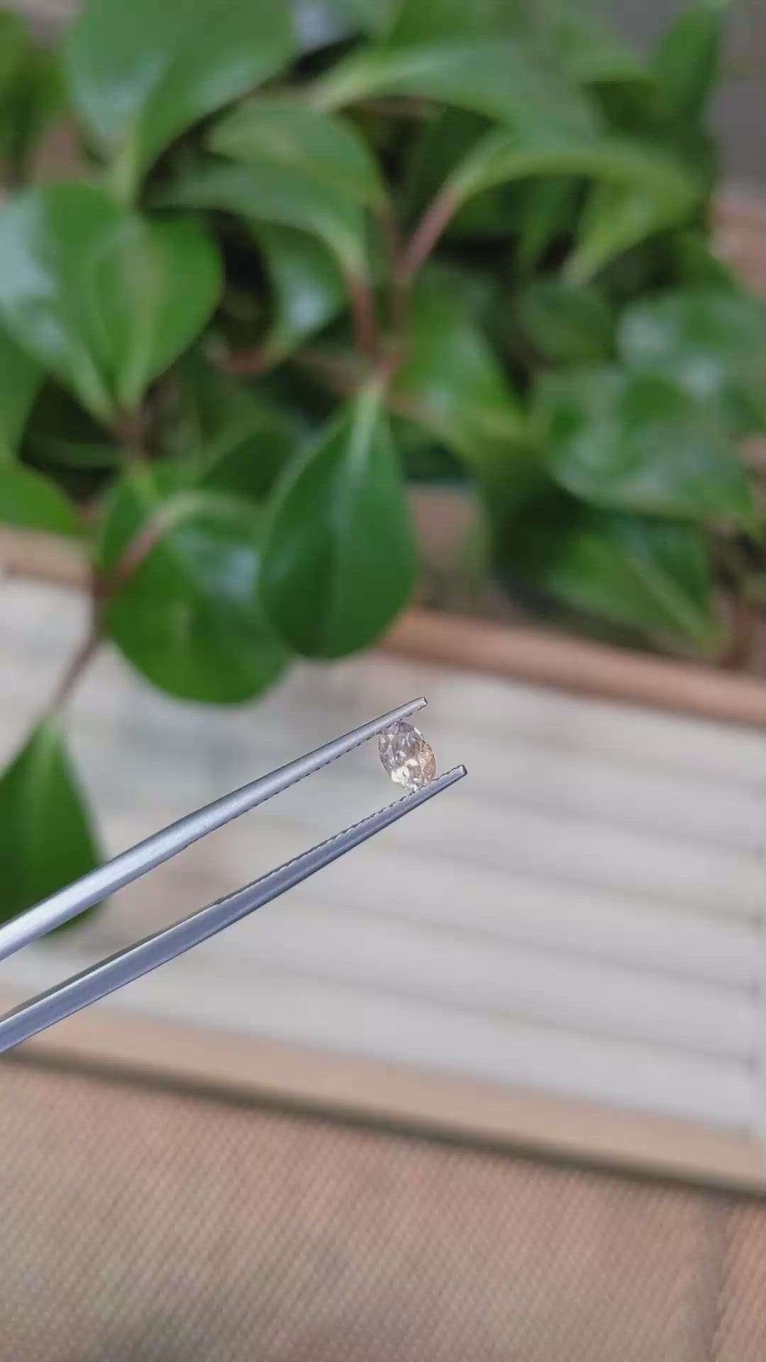 0.37 Ct. Bi Color Sapphire from Montana Size Video