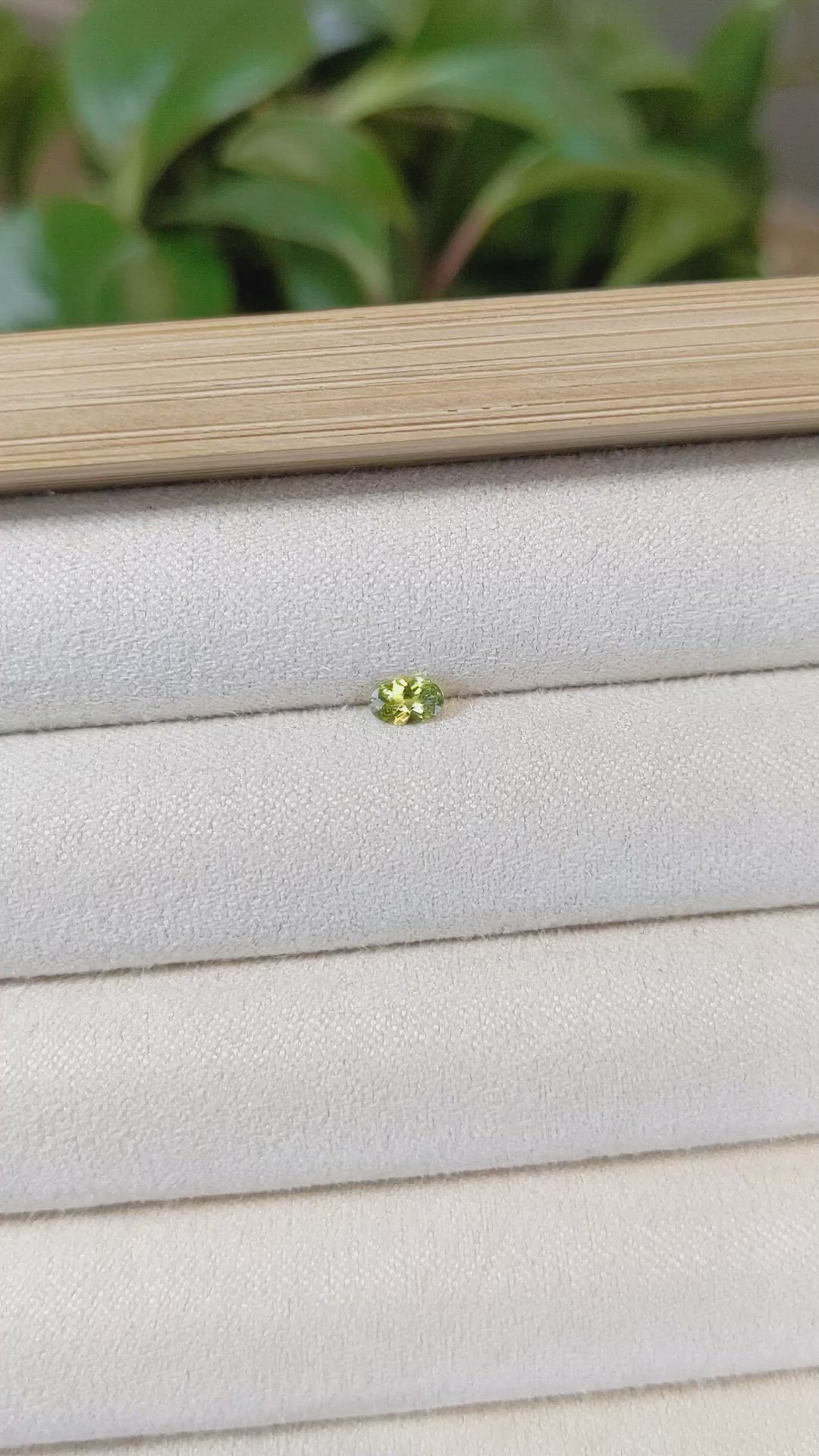 0.23 Ct. Greenish Yellow Sapphire from Montana Size Video