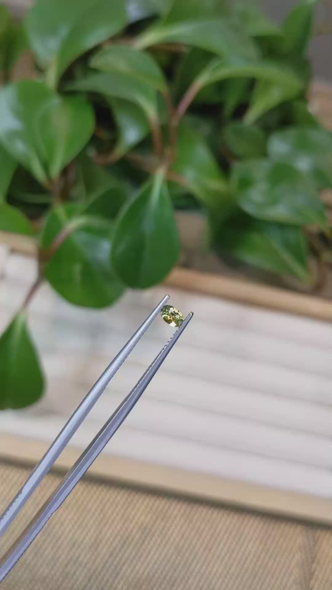 0.23 Ct. Greenish Yellow Sapphire from Montana Size Video