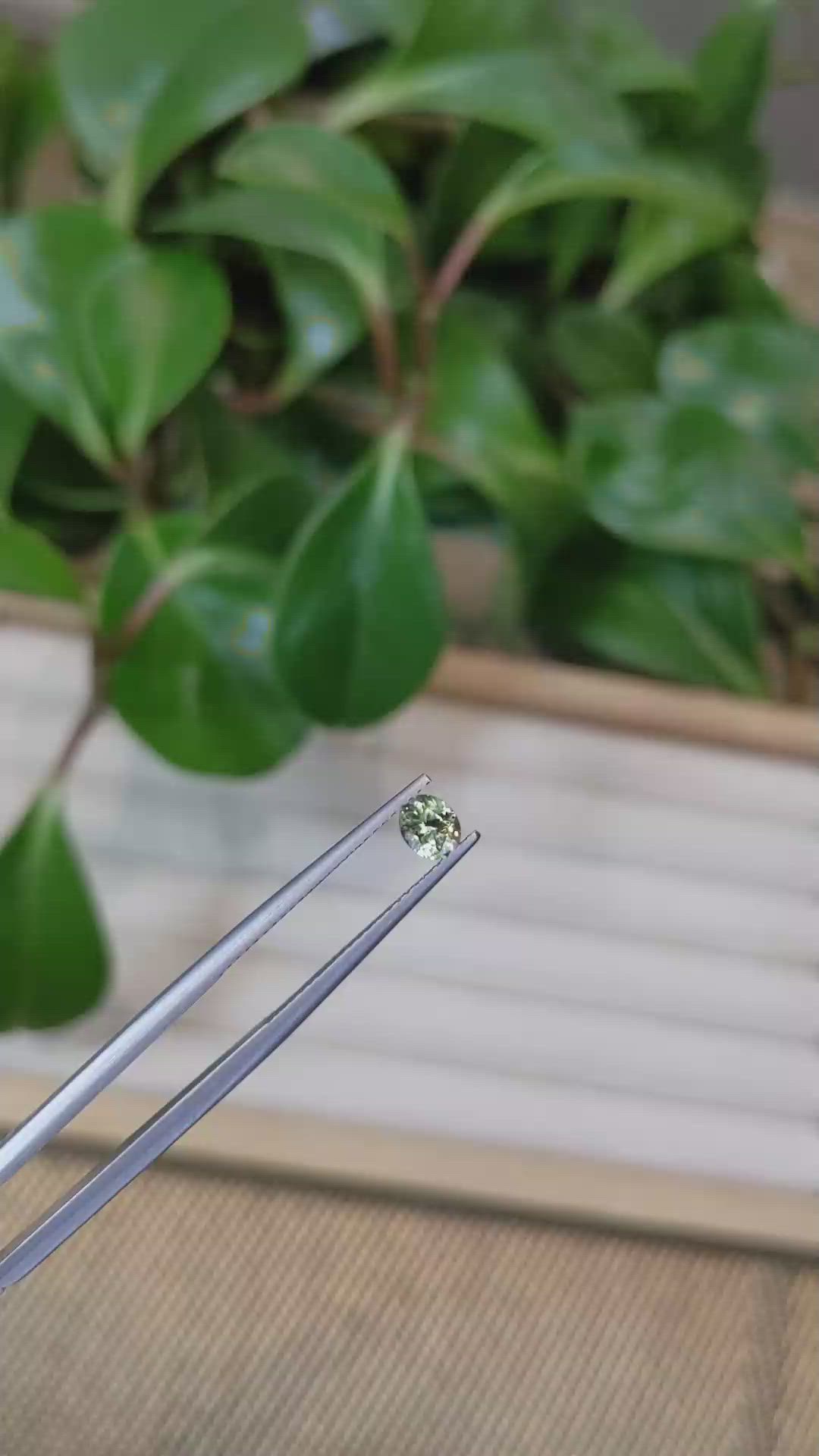 0.42 Ct. Bi Color Sapphire from Montana Size Video
