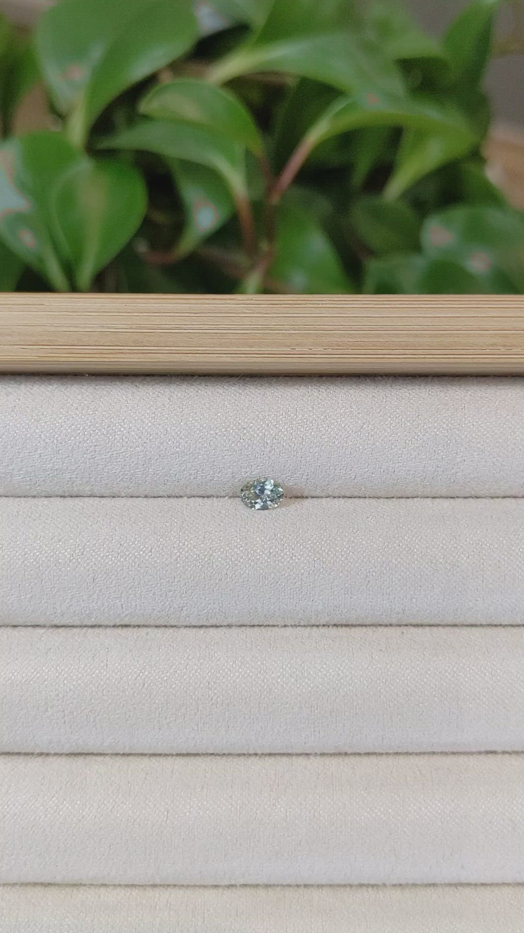 0.42 Ct. Bi Color Sapphire from Montana Size Video