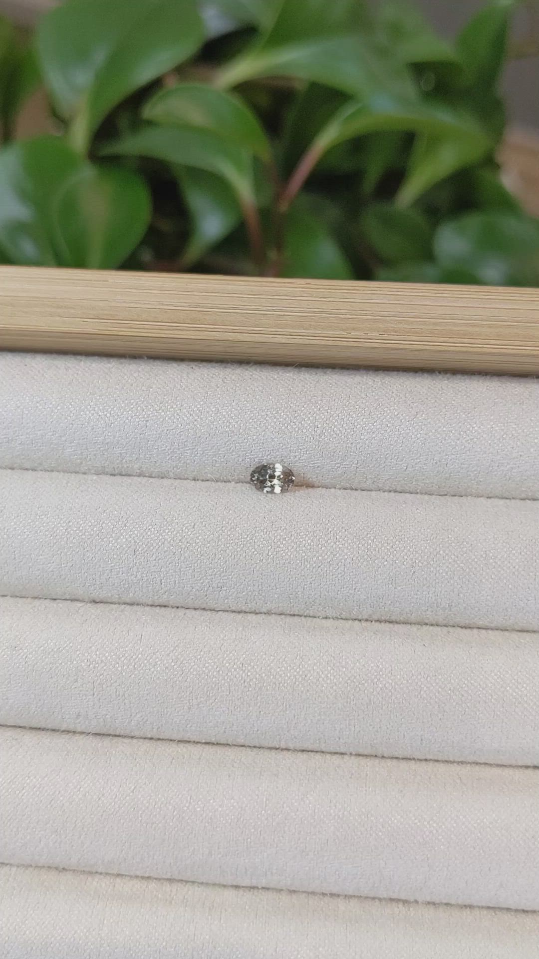 0.43 Ct. Bi Color Sapphire from Montana Size Video