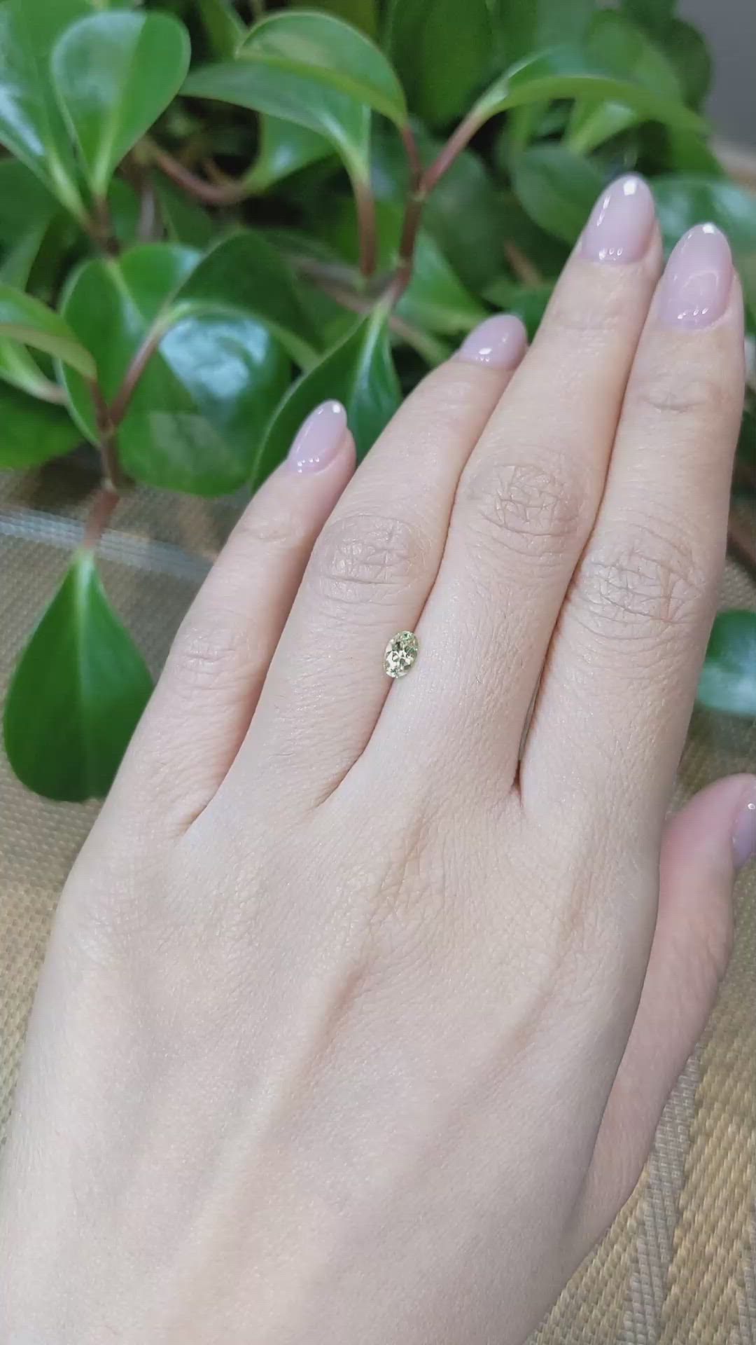 0.44 Ct. Greenish Yellow Sapphire from Montana Size Video