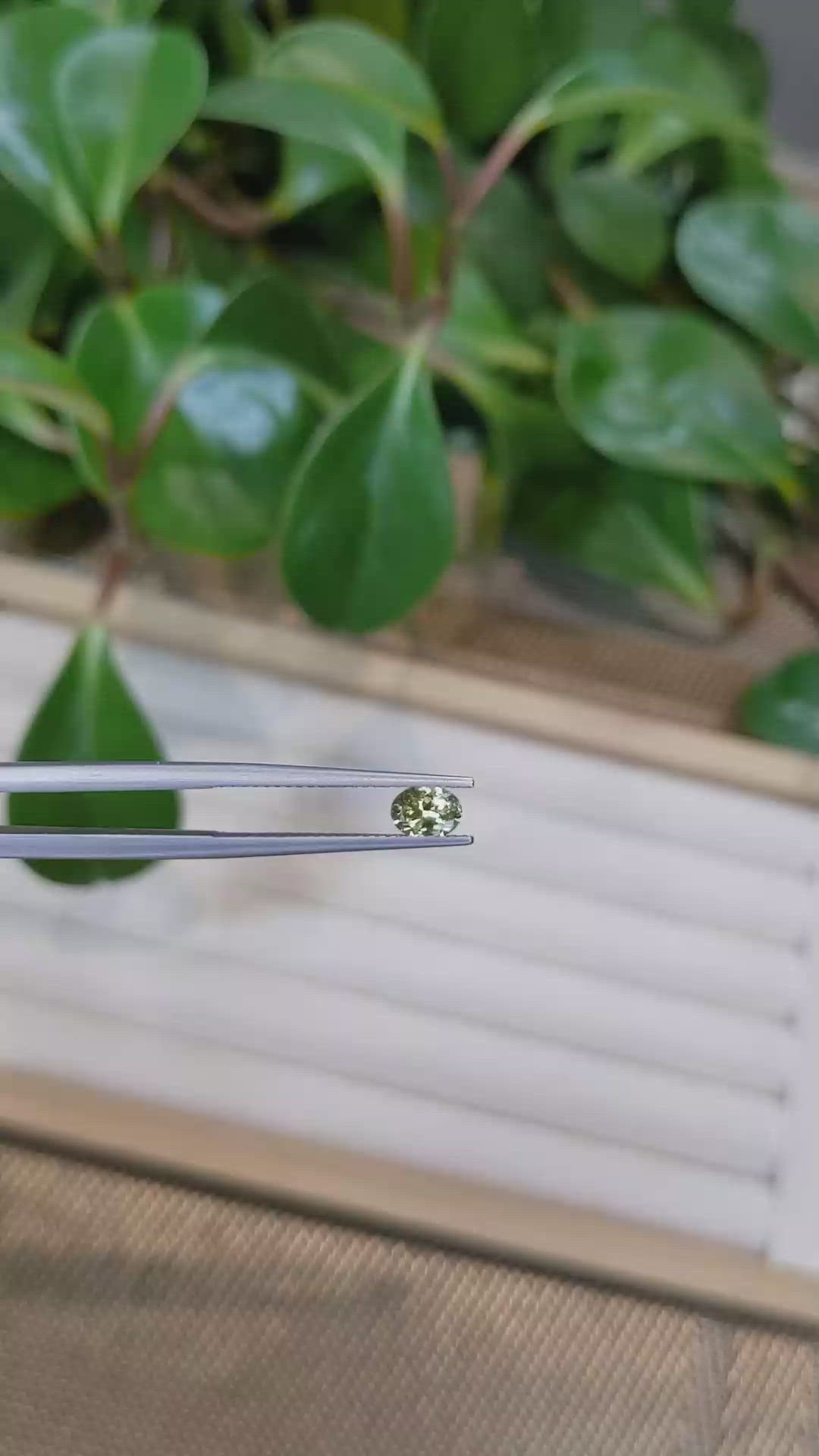 0.46 Ct. Yellowish Green Sapphire from Montana Size Video