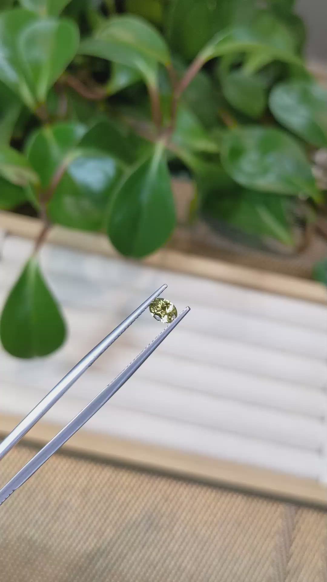 0.46 Ct. Greenish Yellow Sapphire from Montana Size Video