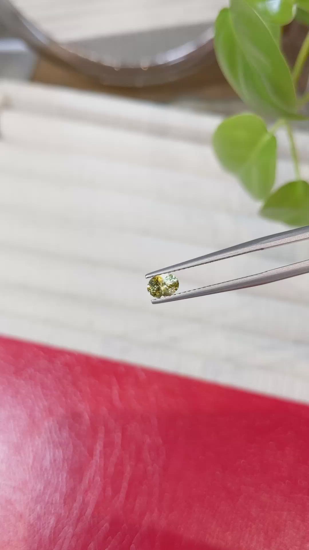 0.53 Ct. Greenish Yellow Sapphire from Montana Size Video