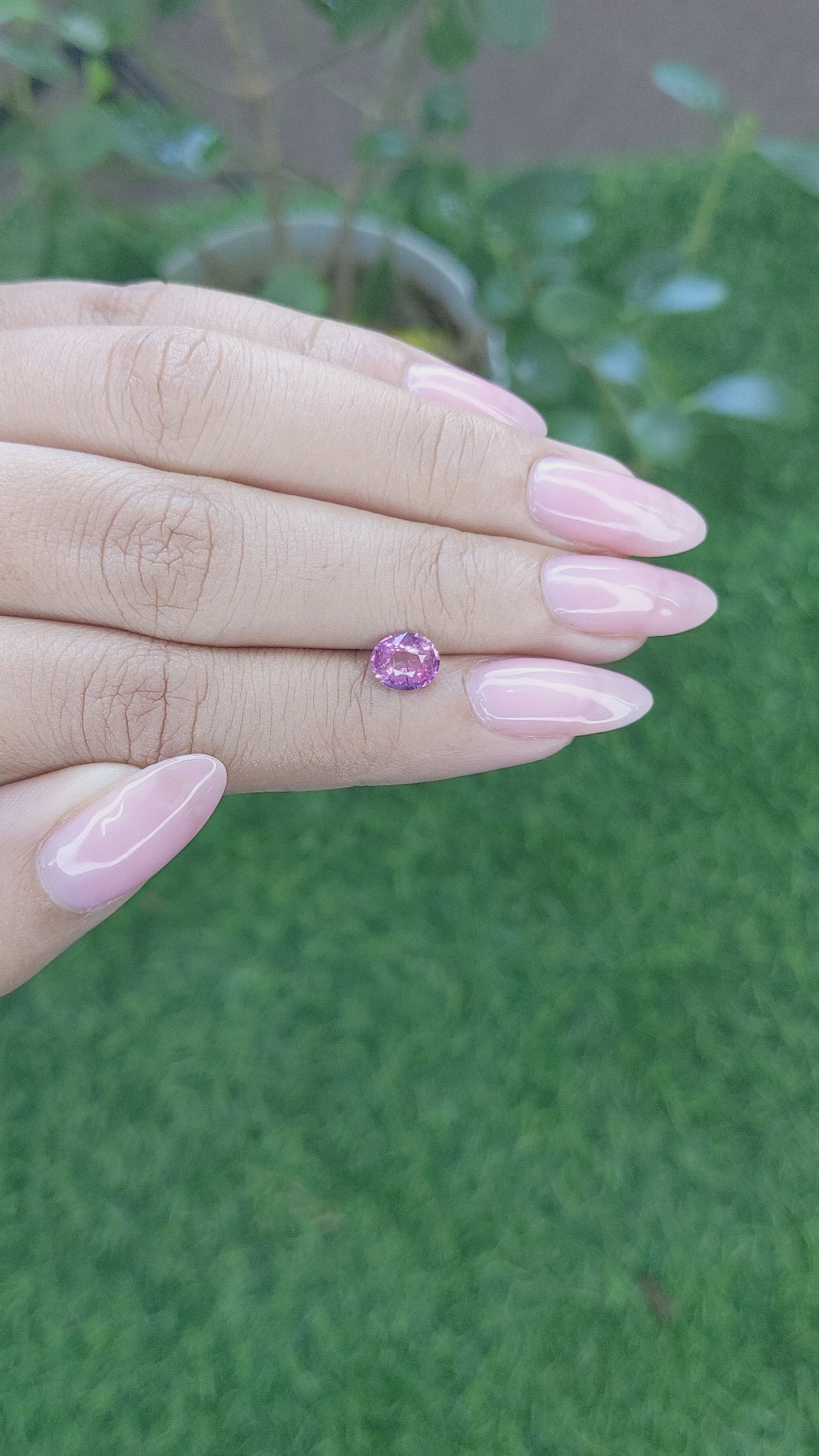 1.05 Ct. Purplish Pink Sapphire from Ceylon (Sri Lanka) Size Video