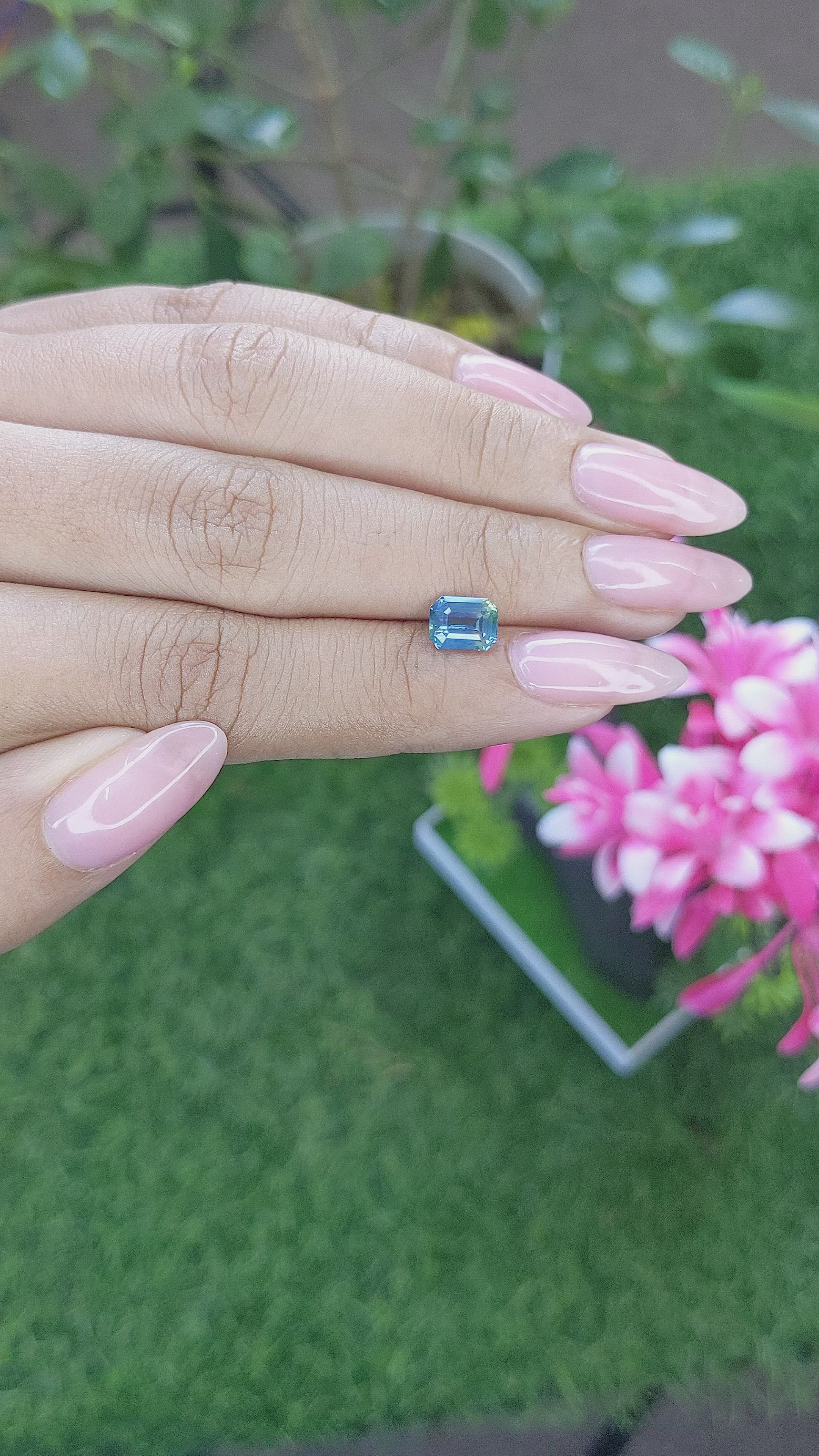 1.49 Ct. Bi Color Sapphire from Africa Size Video