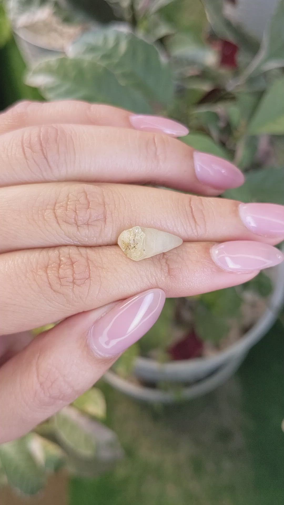 6.84 Ct. Yellow Sapphire Crystal from Ceylon (Sri Lanka) Size Video